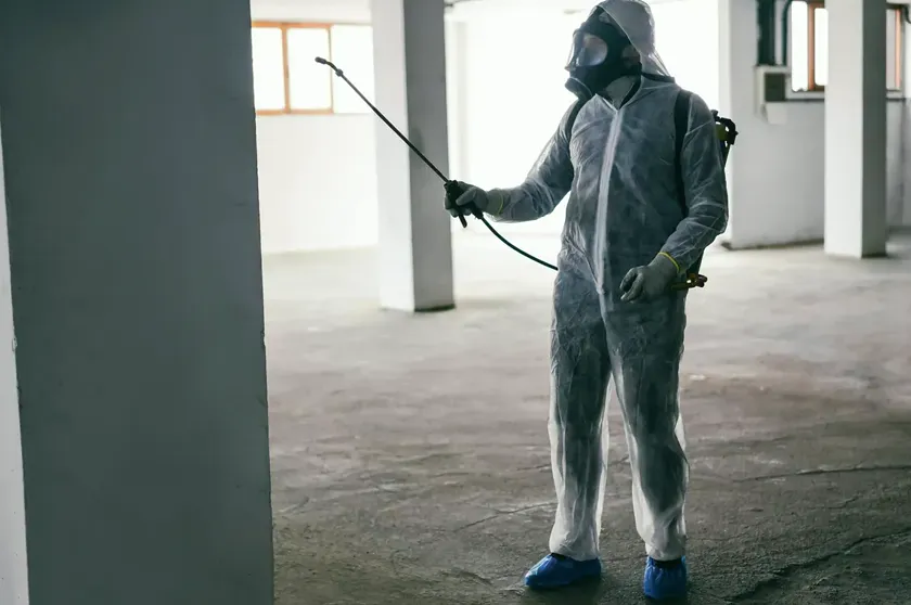 ¿Cada cuánto hay que fumigar una comunidad de vecinos?