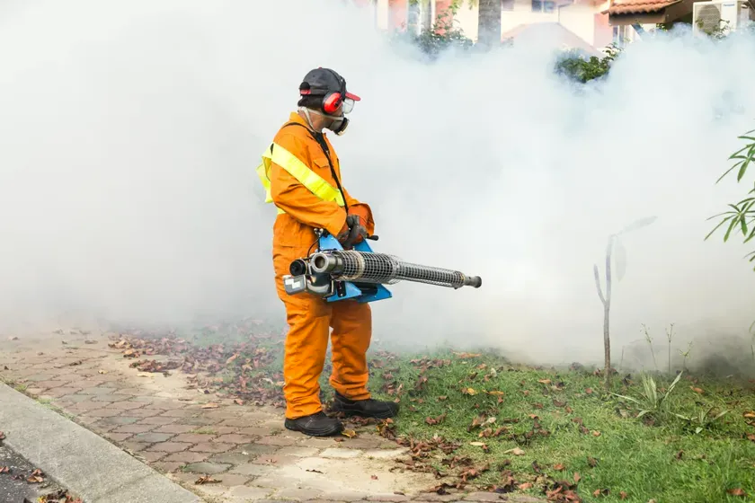 Control del mosquito tigre en Granollers — Vallès Plagas