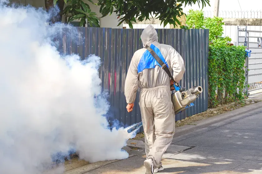 Tratamiento de mosquitos en Granollers — Vallès Plagas